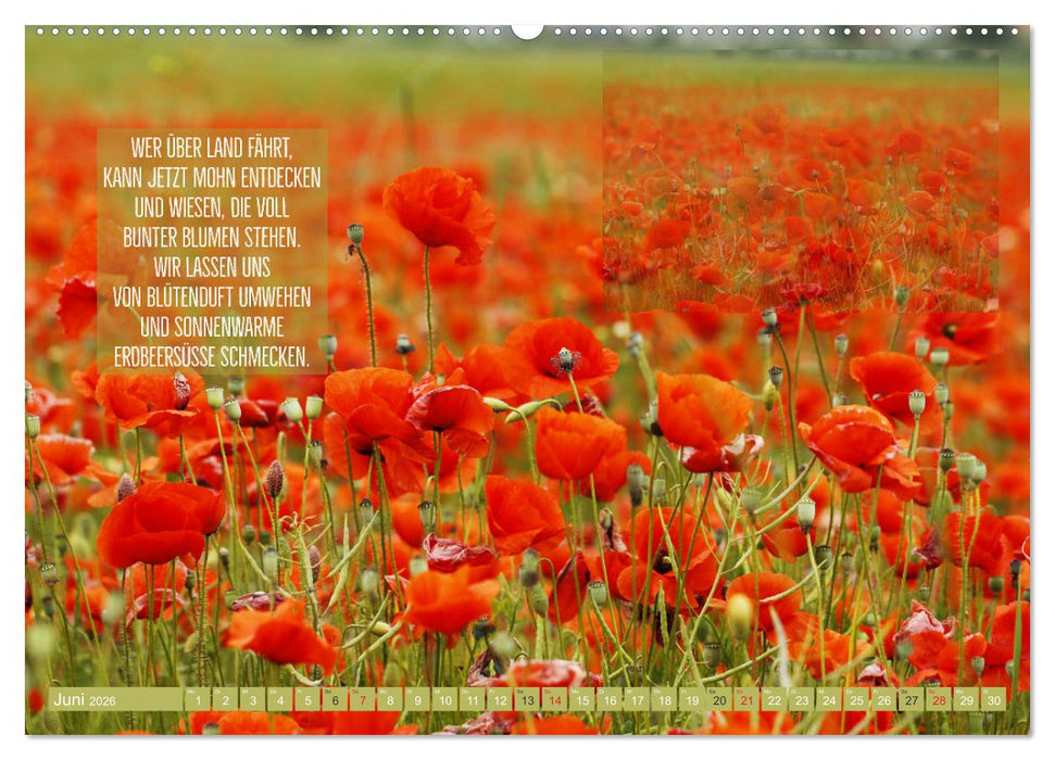 Stimmungsreigen Gefühlvolle Texte und Bilder (CALVENDO Wandkalender 2026)