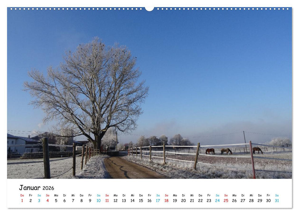 Wernau, die sympathische Stadt am Neckar (CALVENDO Wandkalender 2026)