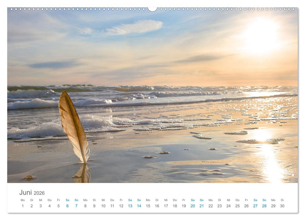 Jütlands Norden - Willkommen im Land des Lichts (CALVENDO Wandkalender 2026)