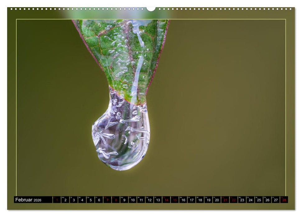 Blattkunstwerke (CALVENDO Wandkalender 2026)