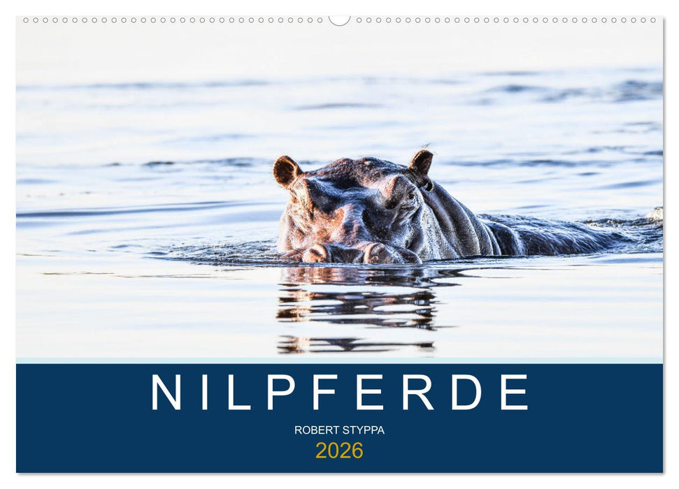 Nilpferde, Kolosse in Afrika (CALVENDO Wandkalender 2026)