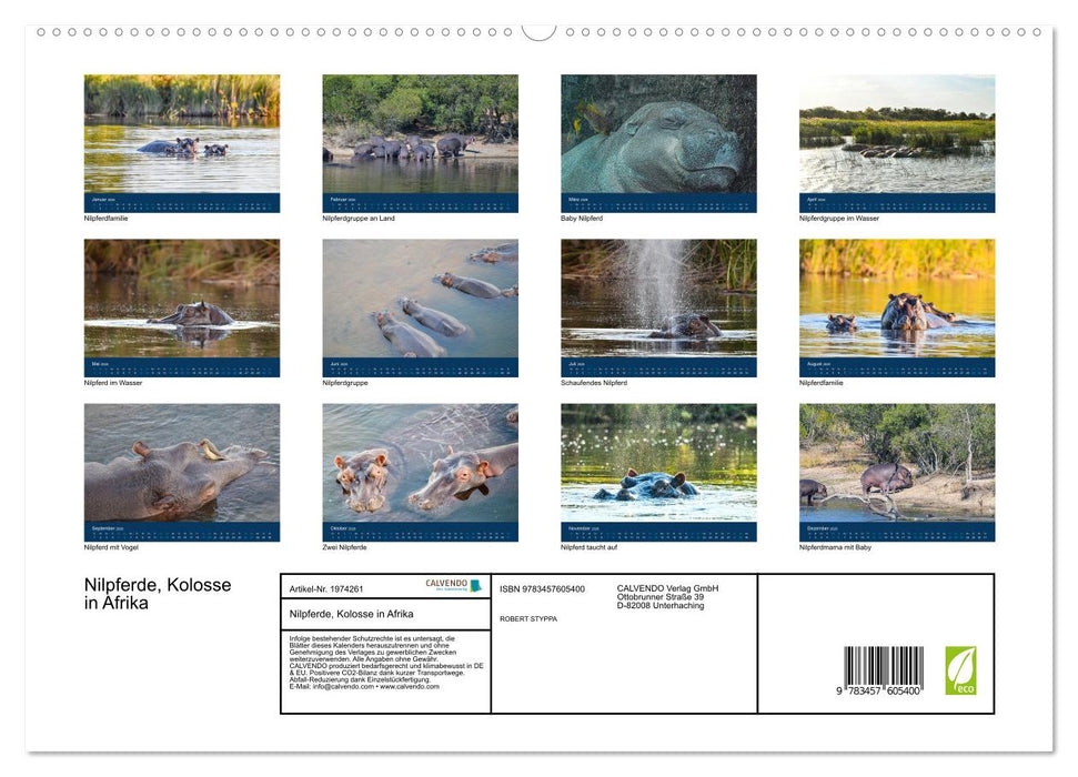 Nilpferde, Kolosse in Afrika (CALVENDO Wandkalender 2026)