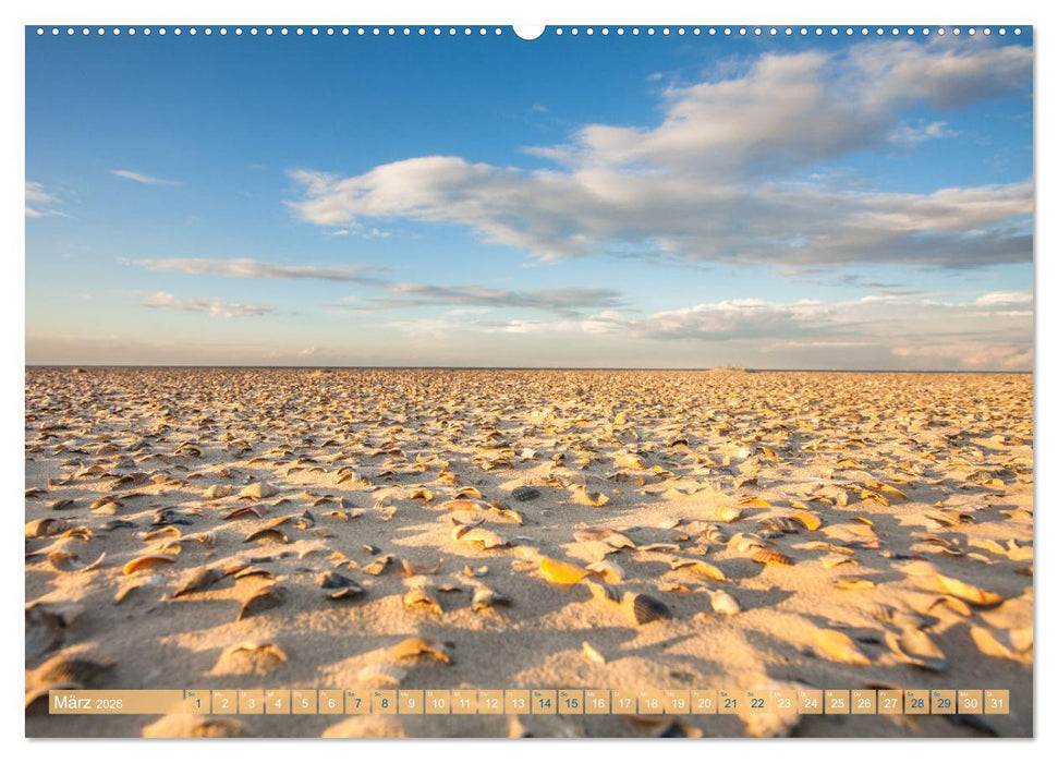 Moin Spiekeroog (CALVENDO Wandkalender 2026)