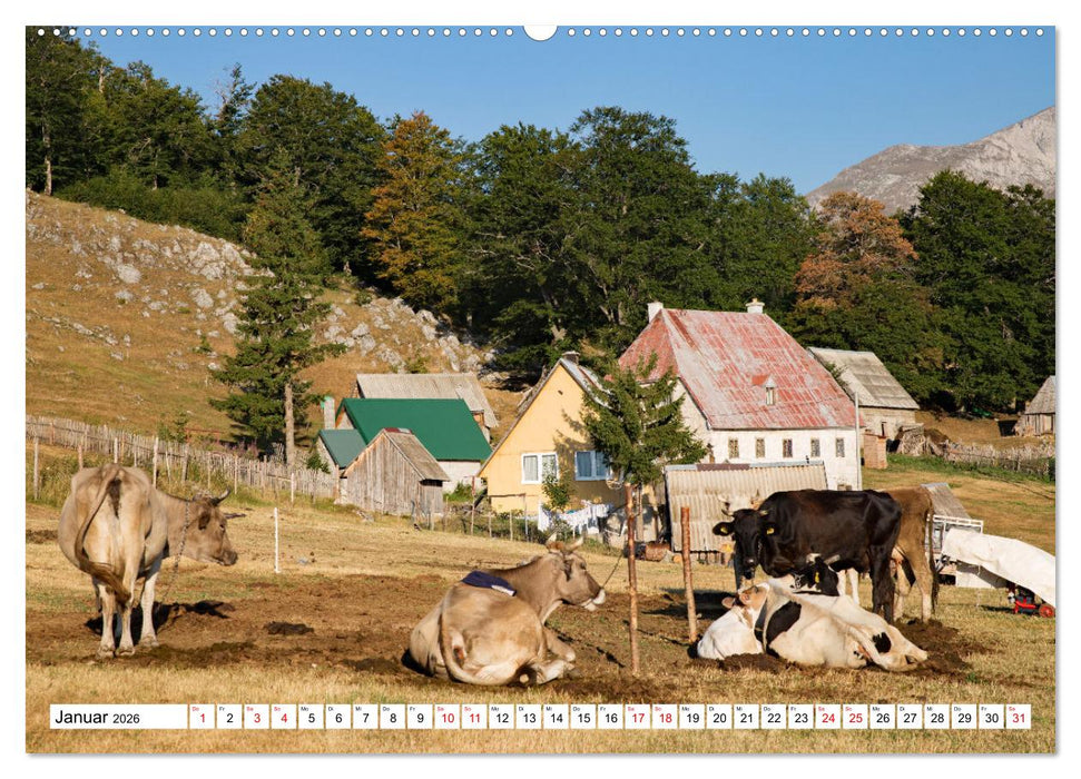 Montenegro - Streifzüge durch atemberaubende Kulturlandschaften (CALVENDO Wandkalender 2026)