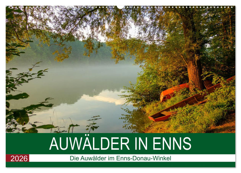 Auwälder bei Enns (CALVENDO Wandkalender 2026)