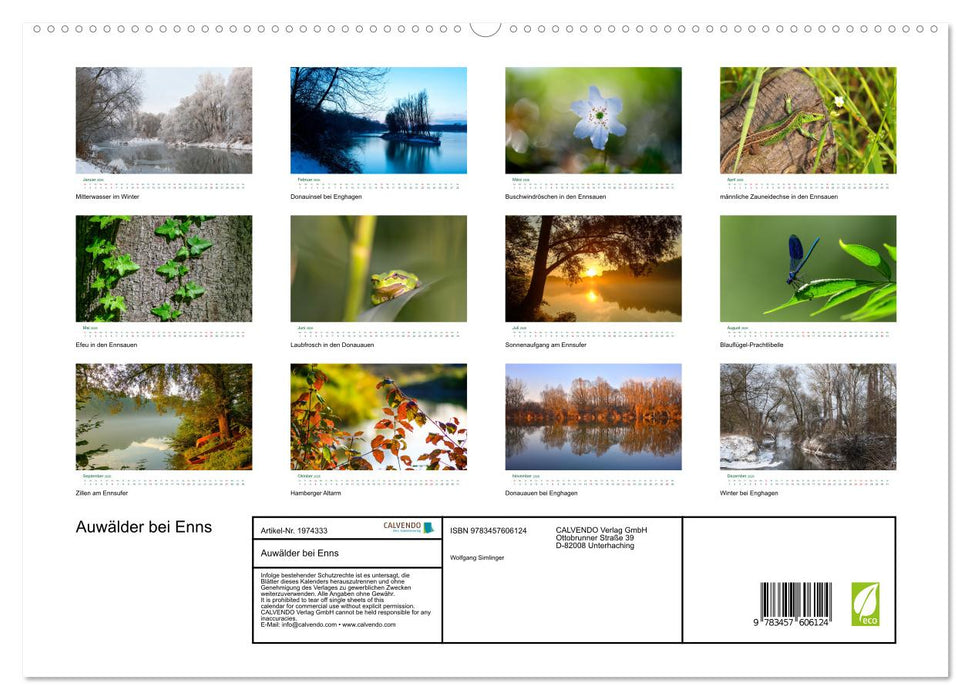 Auwälder bei Enns (CALVENDO Wandkalender 2026)