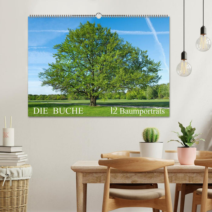 Die Buche: 12 Baumporträts (CALVENDO Wandkalender 2026)