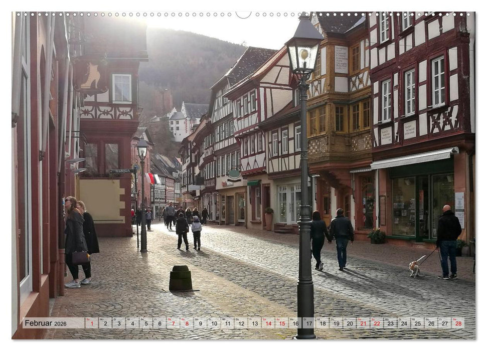 Wanderbares Miltenberg (CALVENDO Wandkalender 2026)