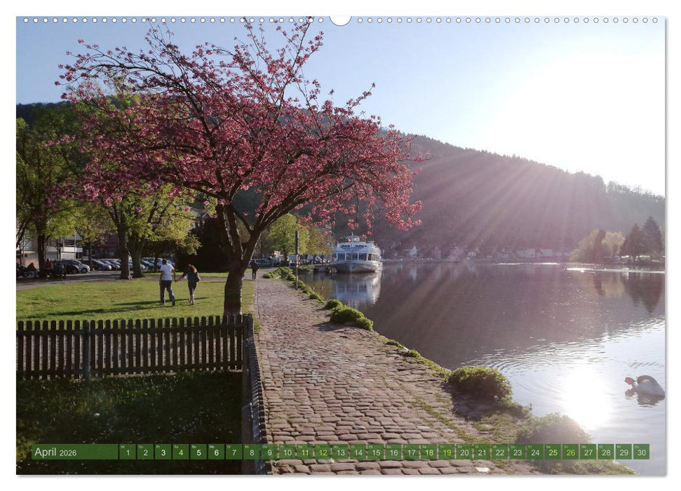 Wanderbares Miltenberg (CALVENDO Wandkalender 2026)