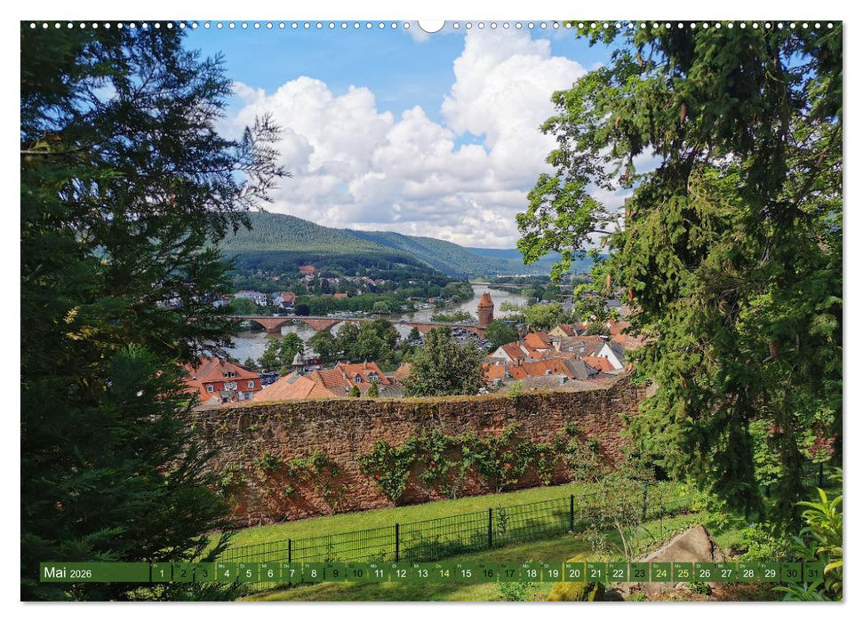 Wanderbares Miltenberg (CALVENDO Wandkalender 2026)