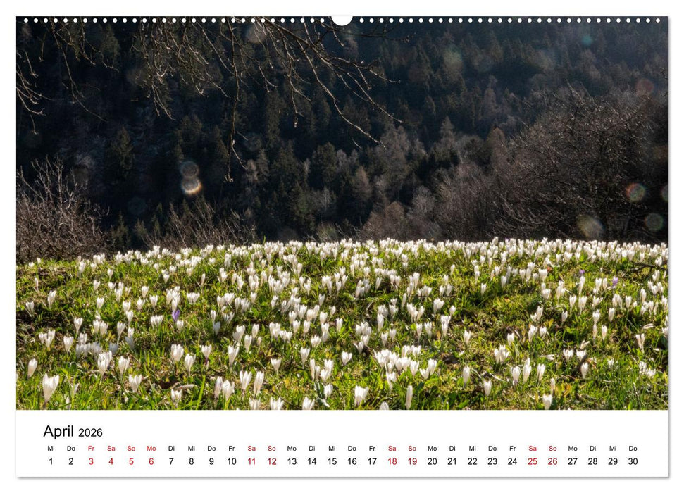 Bergell - Bregaglia Impressionen (CALVENDO Wandkalender 2026)