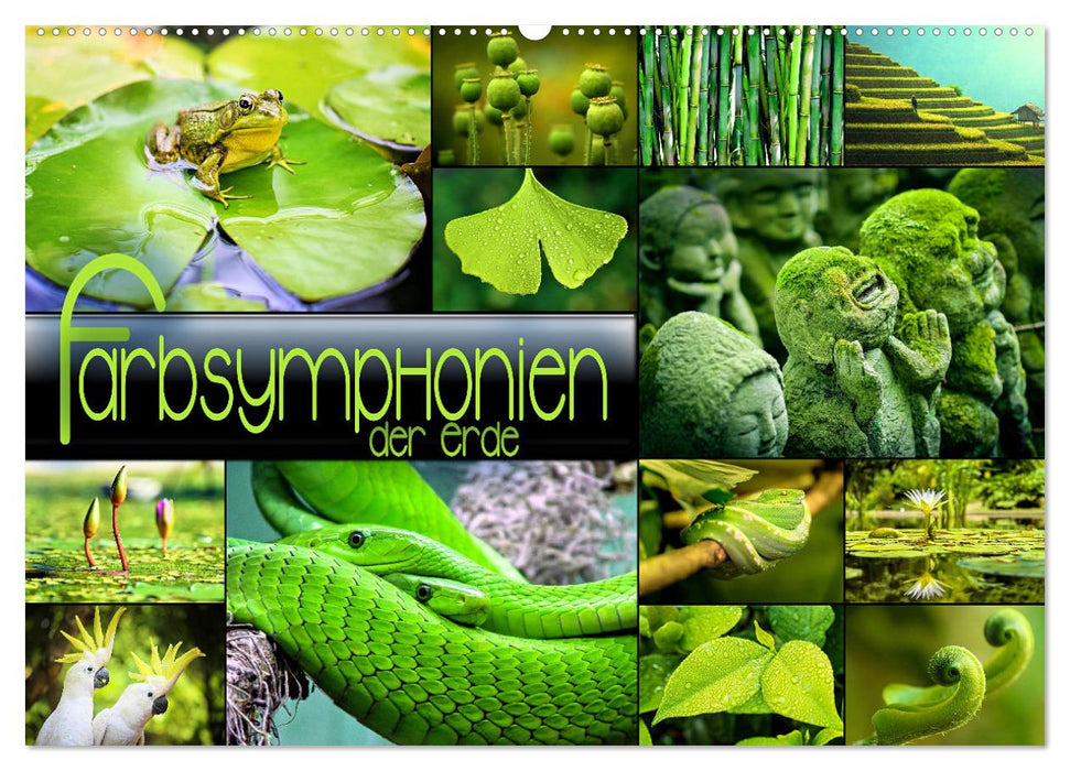 Farbsymphonien der Erde (CALVENDO Wandkalender 2026)