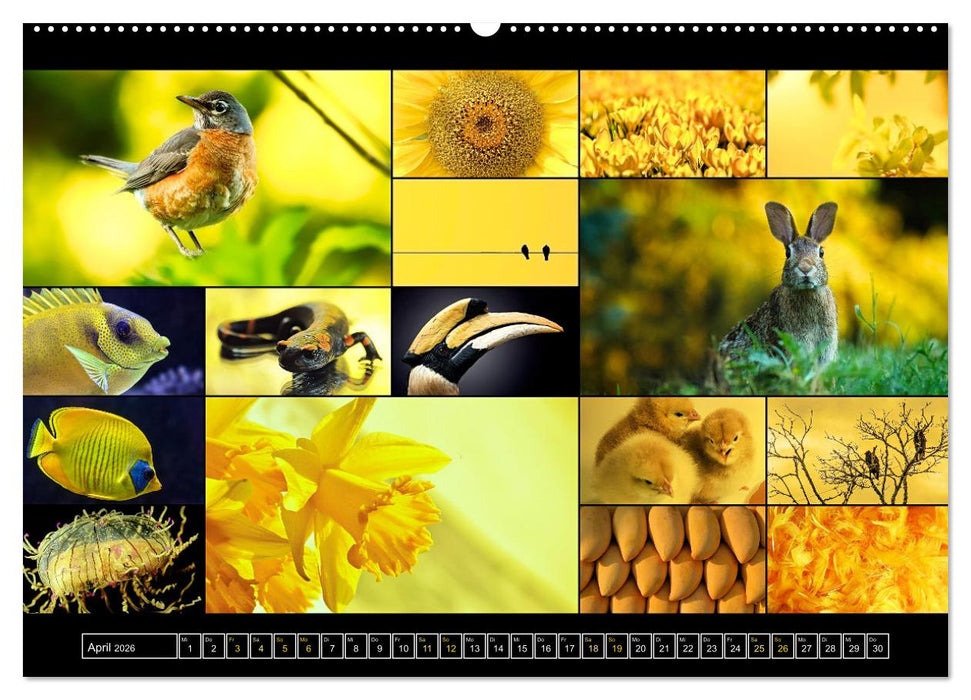 Farbsymphonien der Erde (CALVENDO Wandkalender 2026)