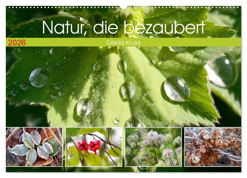 Natur, die bezaubert (CALVENDO Wandkalender 2026)