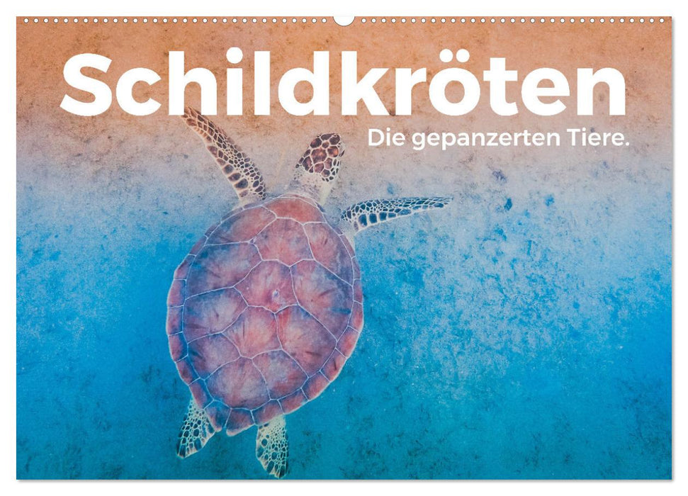Schildkröten - Die gepanzerten Tiere. (CALVENDO Wandkalender 2026)