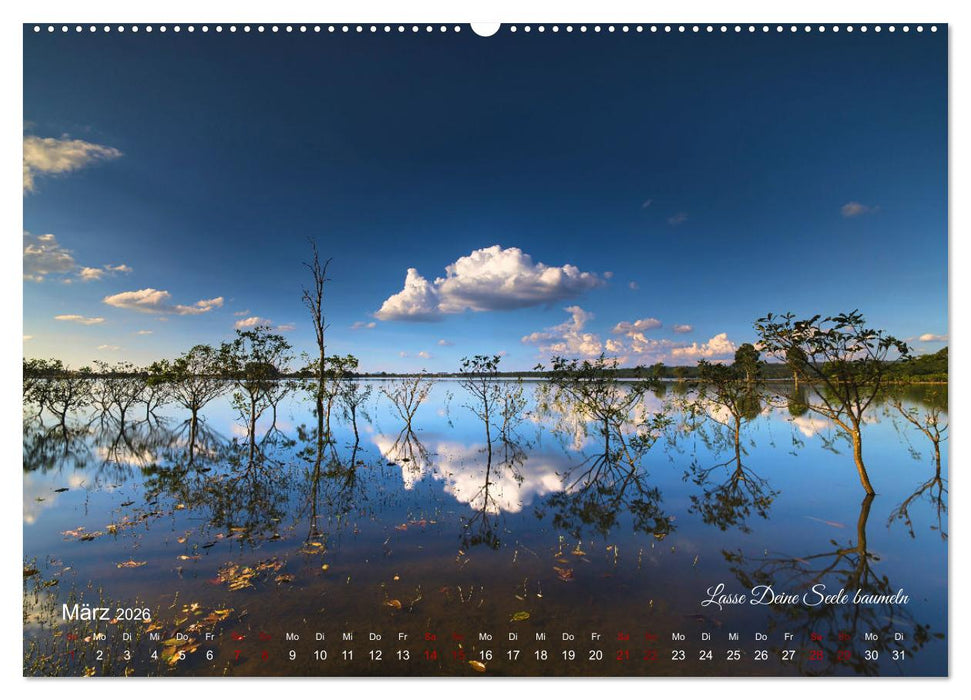 Magische Horizonte der Erde (CALVENDO Wandkalender 2026)