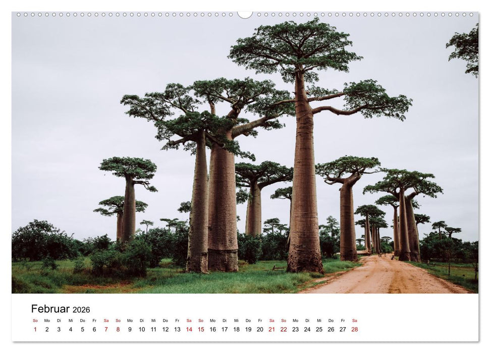Naturparadies Madagaskar (CALVENDO Wandkalender 2026)