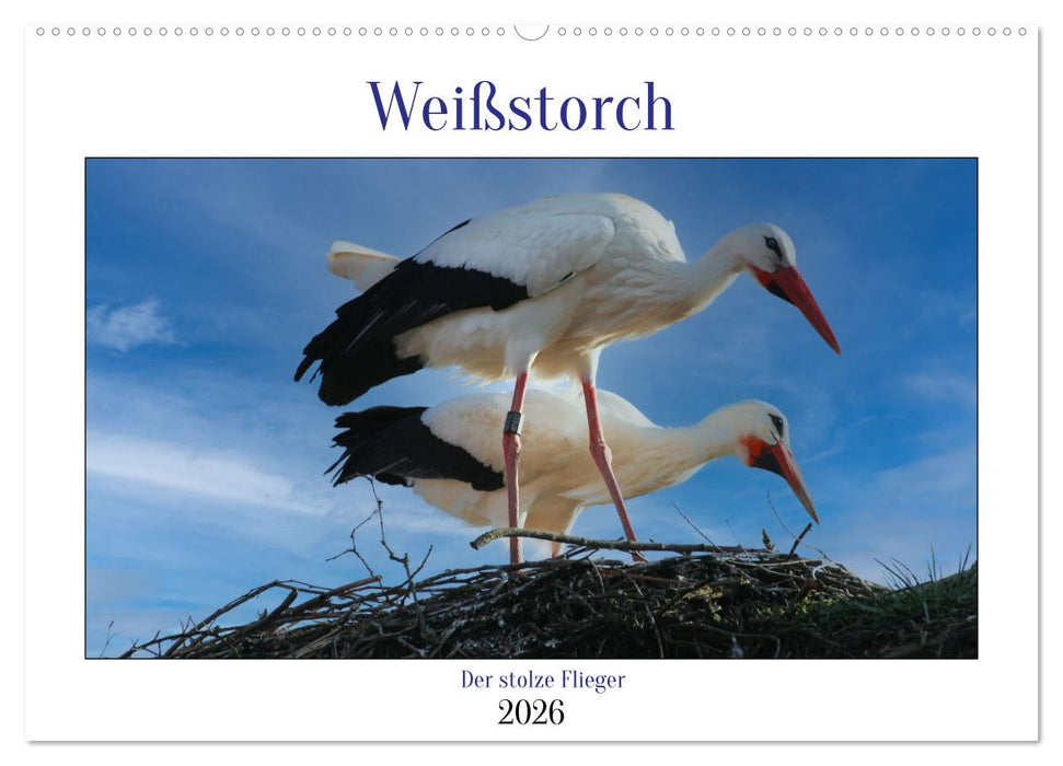 Weißstorch, der stolze Flieger (CALVENDO Wandkalender 2026)