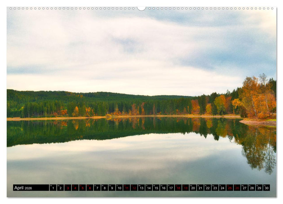 Im Thüringer Wald (CALVENDO Wandkalender 2026)