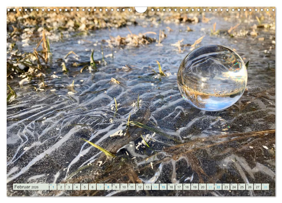 Perspektiven 2026 - Natur im Prismablick (CALVENDO Wandkalender 2026)