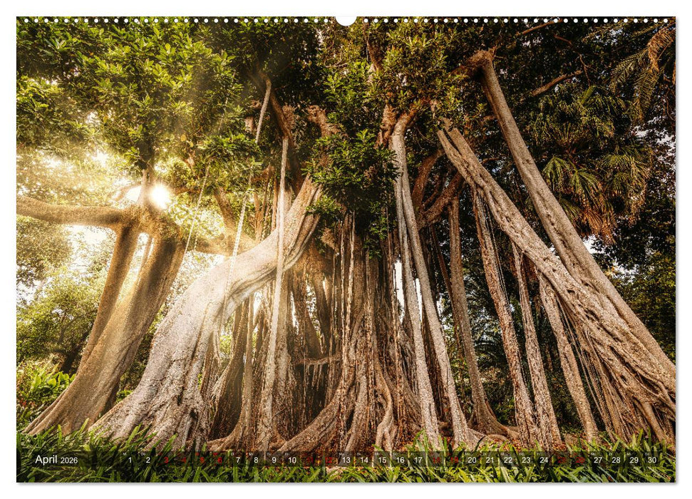 Die Kanarische Inseln Teneriffa, Gran Canaria und Fuerteventura (CALVENDO Premium Wandkalender 2026)