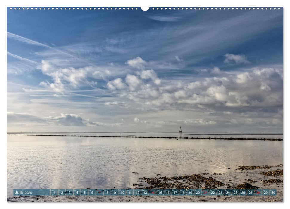 Pellworm - Das Inselparadies (CALVENDO Wandkalender 2026)