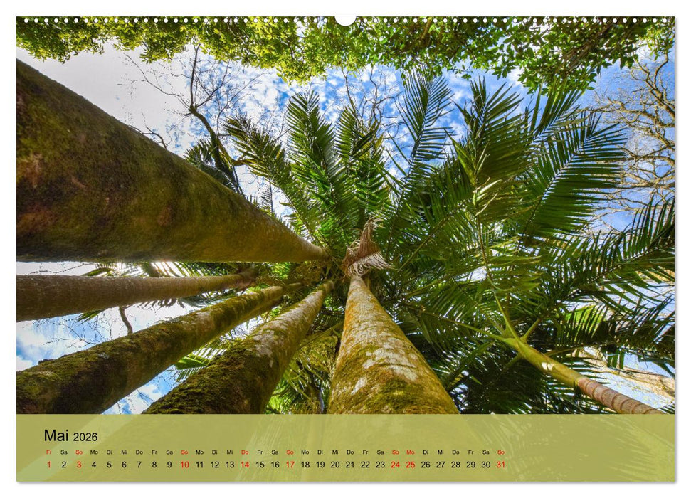 Azoreninsel São Miguel (CALVENDO Wandkalender 2026)