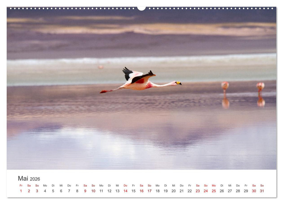 Bolivien - Eine Reise entlang der Anden. (CALVENDO Wandkalender 2026)