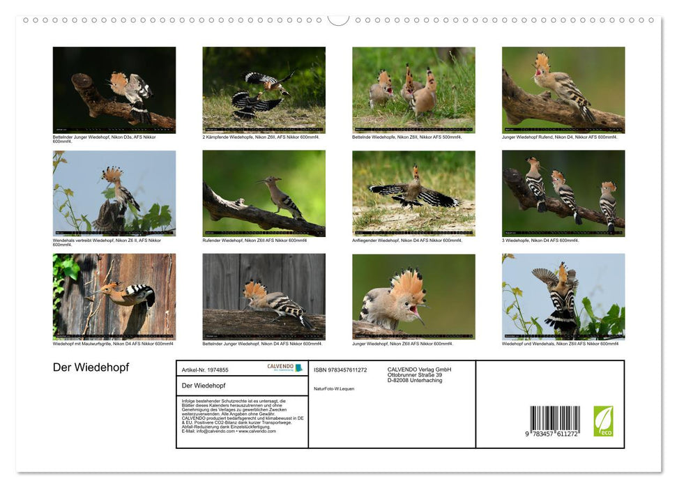 Der Wiedehopf (CALVENDO Wandkalender 2026)