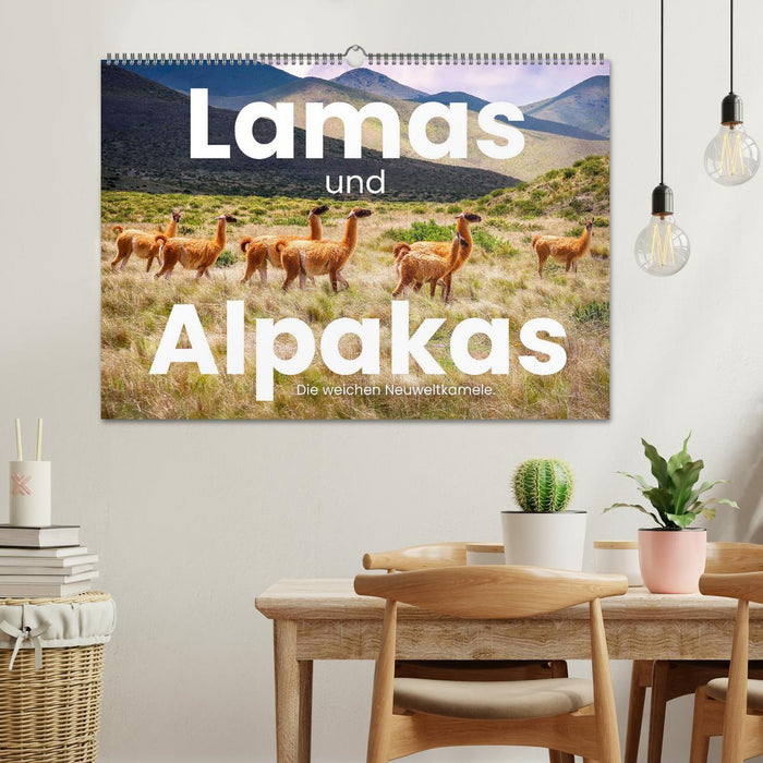 Lamas und Alpakas - Die weichen Neuweltkamele. (CALVENDO Wandkalender 2026)