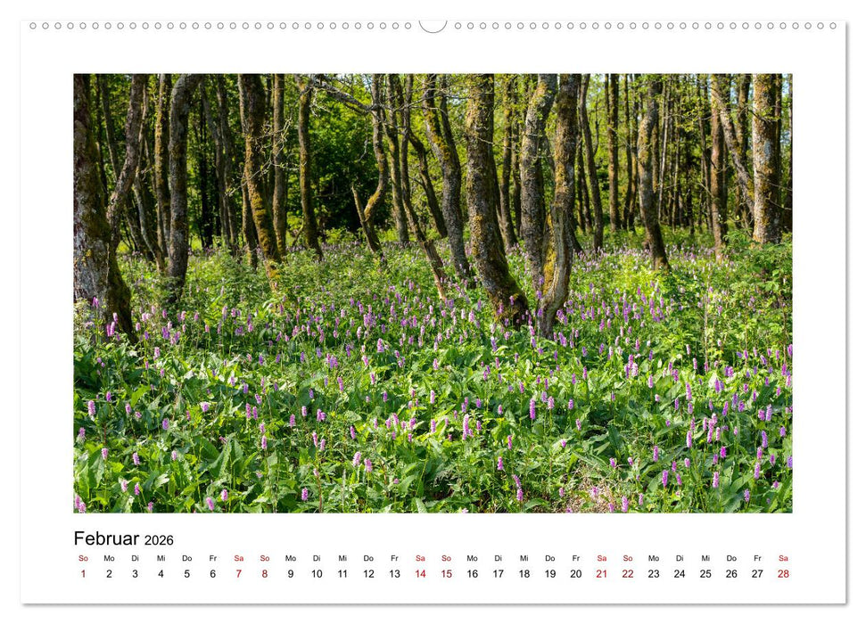 Stimmungsvolle Rhön (CALVENDO Wandkalender 2026)