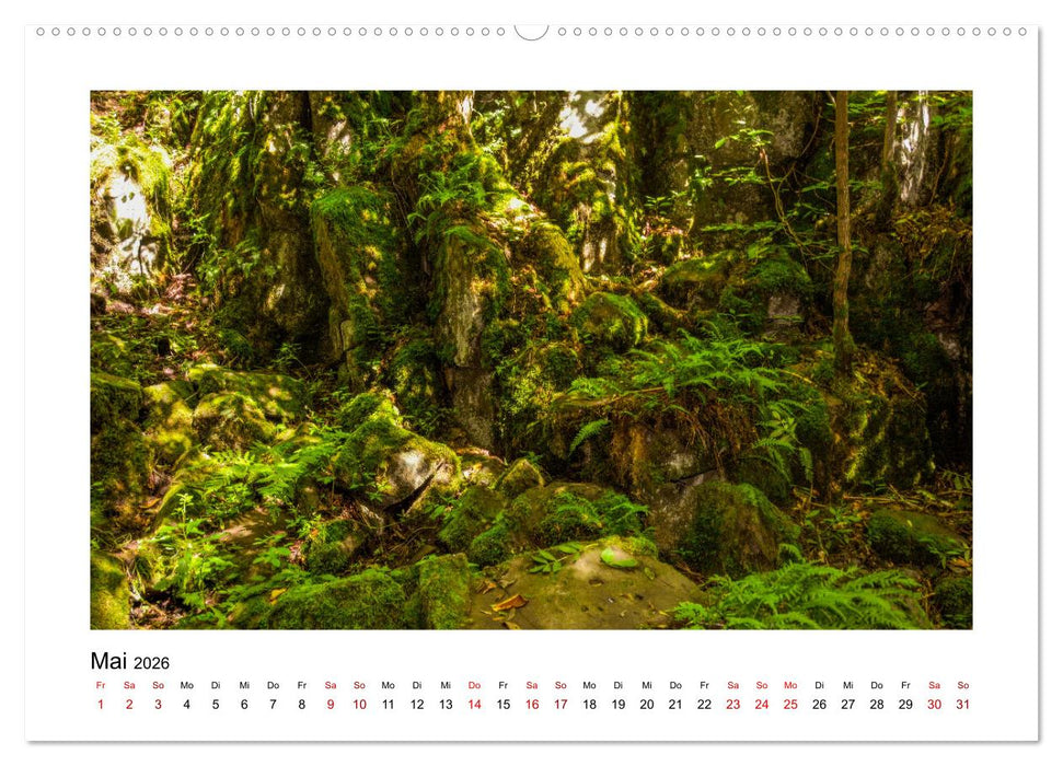 Stimmungsvolle Rhön (CALVENDO Wandkalender 2026)