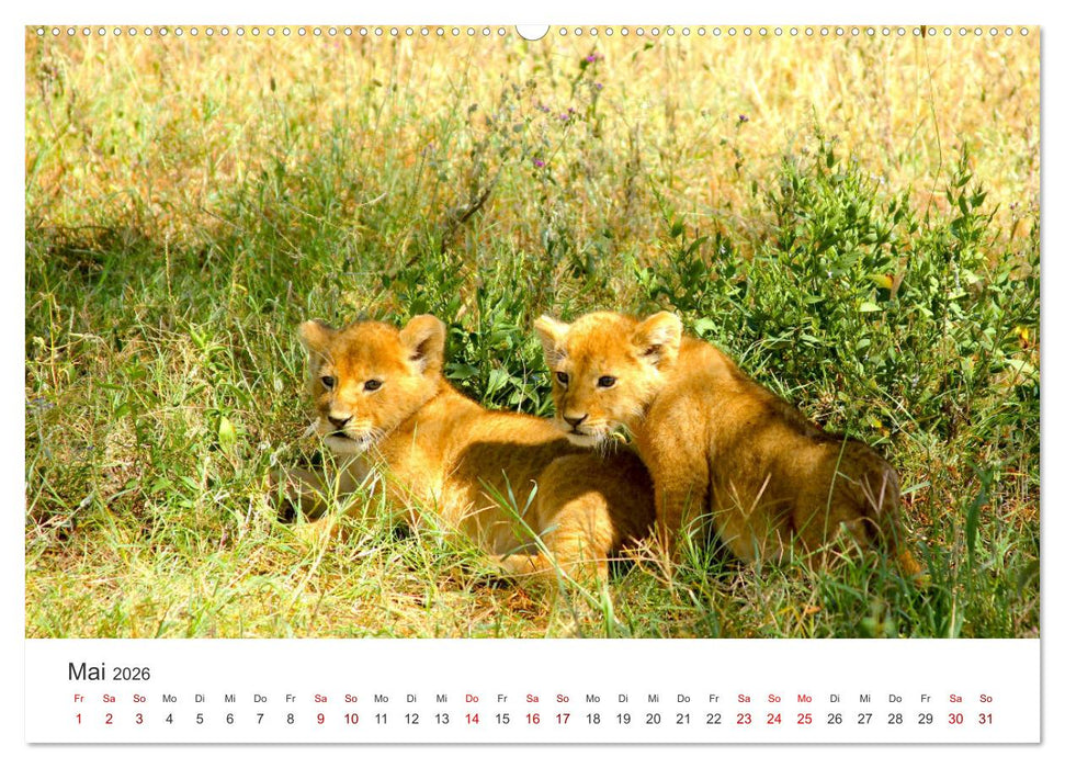 Tansania - Am Fuße des Kilimandscharo. (CALVENDO Wandkalender 2026)