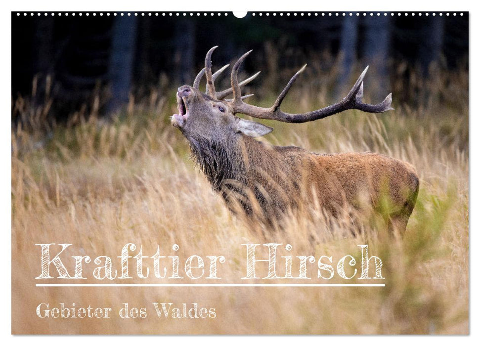 Krafttier Hirsch (CALVENDO Wandkalender 2026)