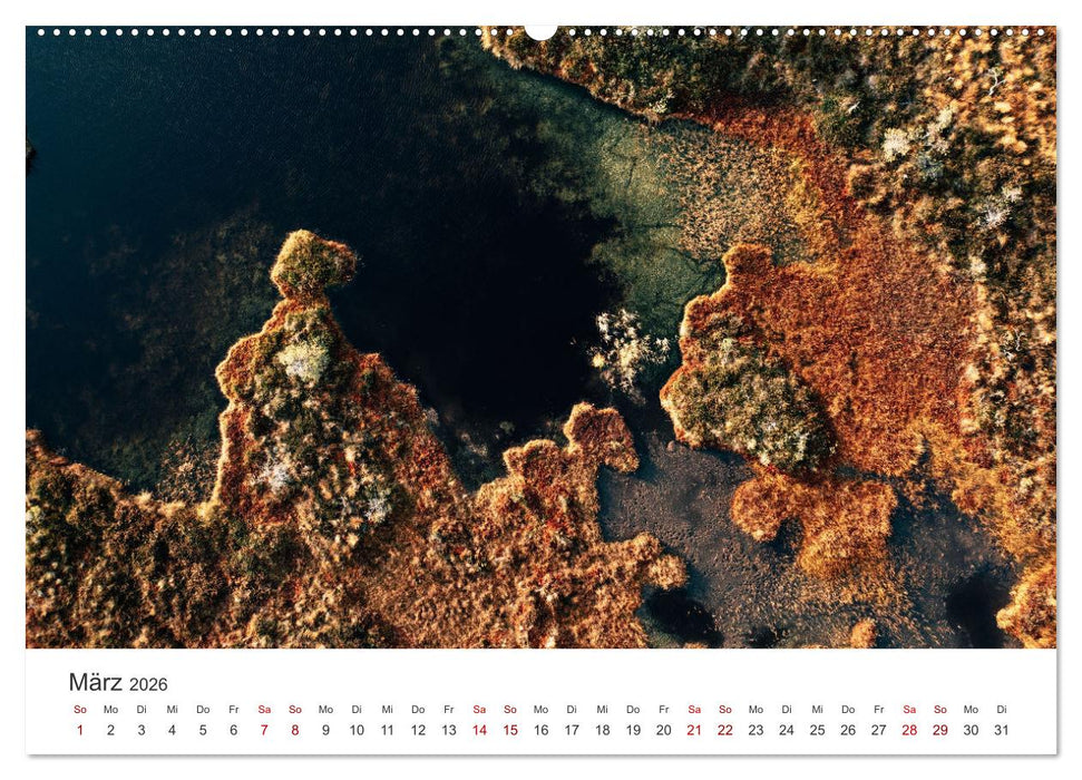 Estland - Ein unterschätztes Reiseziel. (CALVENDO Wandkalender 2026)