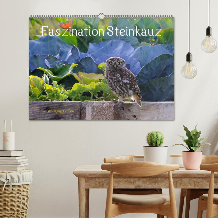 Faszination Steinkauz (CALVENDO Wandkalender 2026)