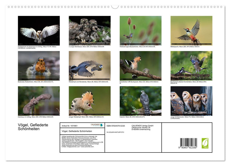 Vögel, Gefiederte Schönheiten (CALVENDO Wandkalender 2026)