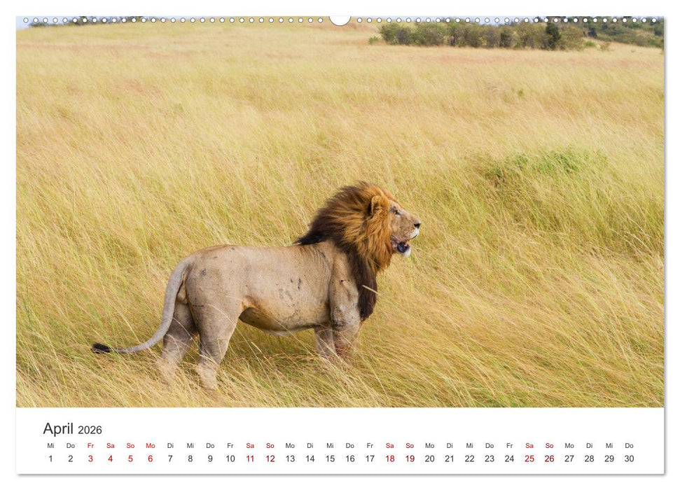 Kenia - Das wundervolle Land in Afrika. (CALVENDO Wandkalender 2026)