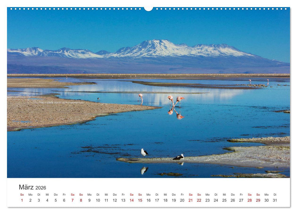 Chile - Das langgestreckte Land. (CALVENDO Wandkalender 2026)
