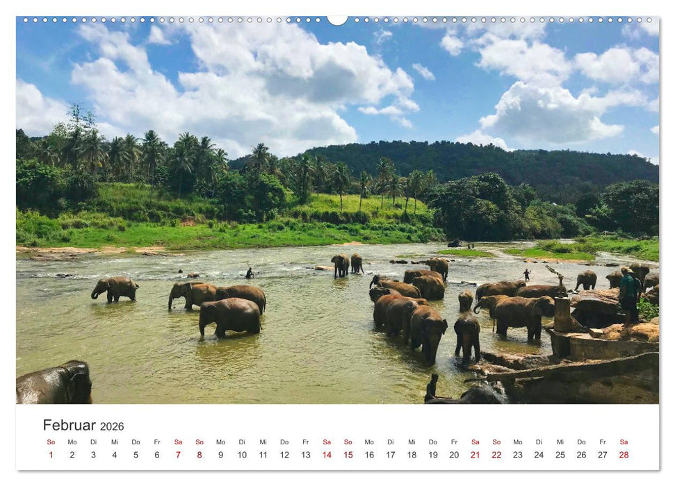 Sri Lanka - Eine einzigartige Trauminsel. (CALVENDO Wandkalender 2026)