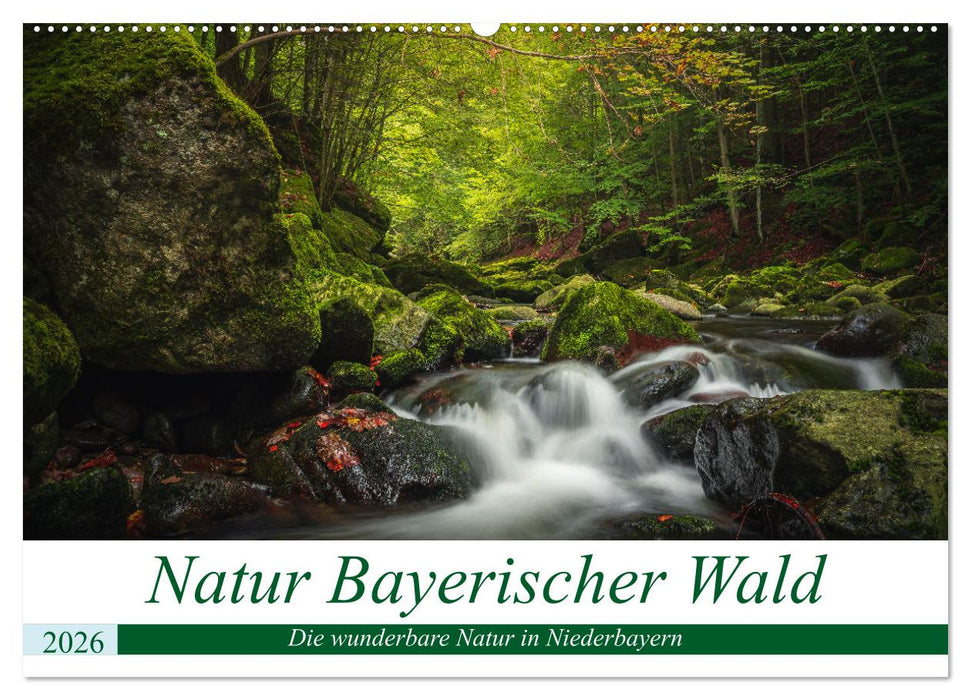 Natur Bayerischer Wald (CALVENDO Wandkalender 2026)