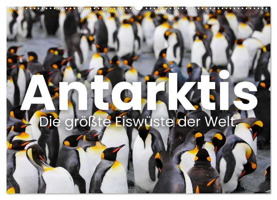Antarktis - Die größte Eiswüste der Welt. (CALVENDO Wandkalender 2026)