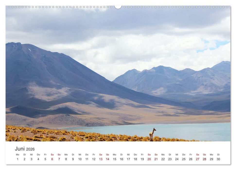 Chile - Ein unbekanntes Paradies. (CALVENDO Wandkalender 2026)