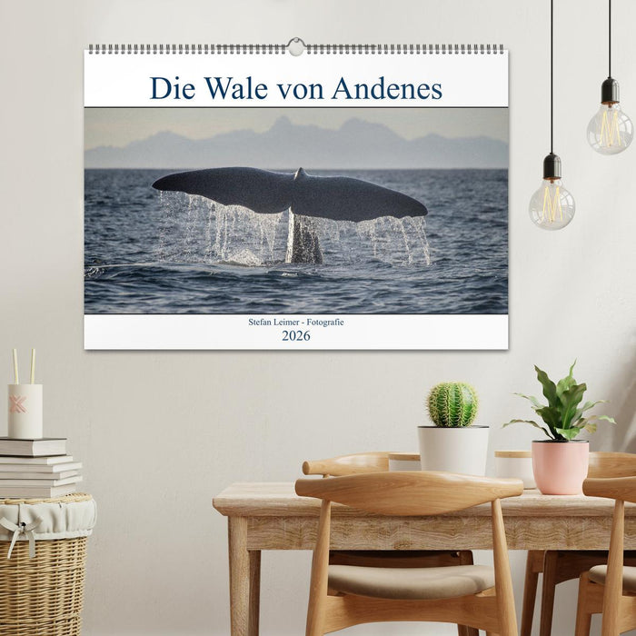 Die Wale von Andenes (CALVENDO Wandkalender 2026)