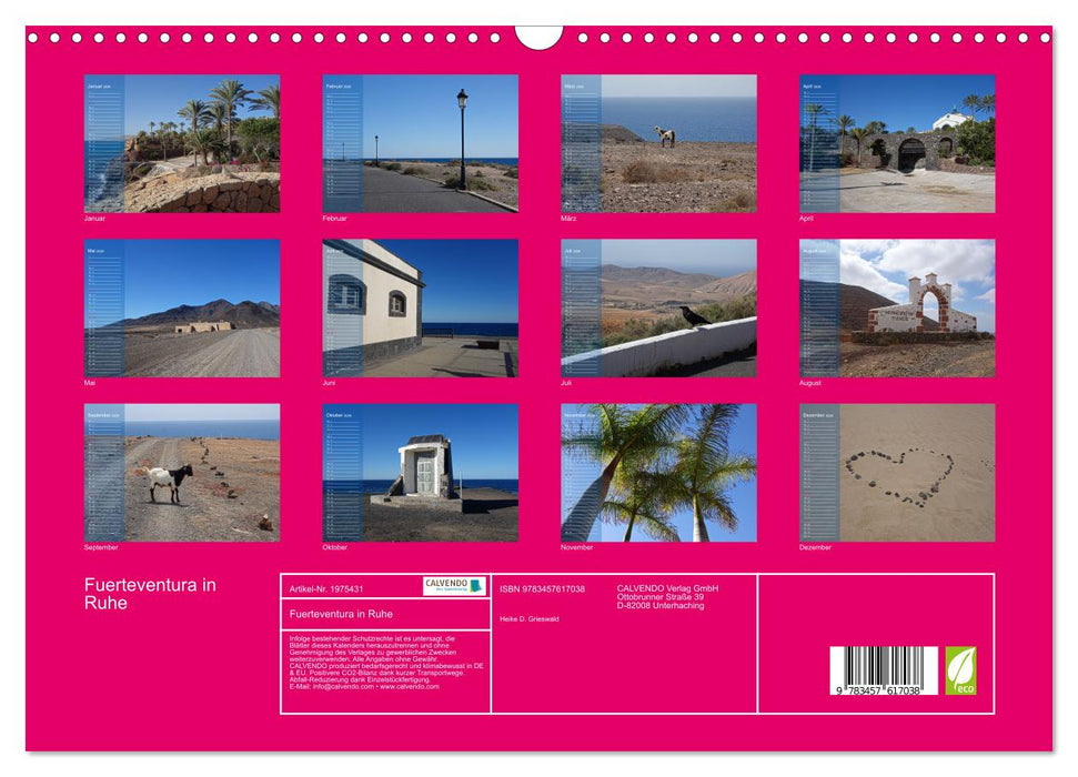 Fuerteventura in Ruhe (CALVENDO Wandkalender 2026)