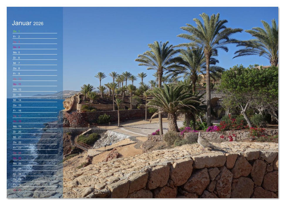 Fuerteventura in Ruhe (CALVENDO Wandkalender 2026)