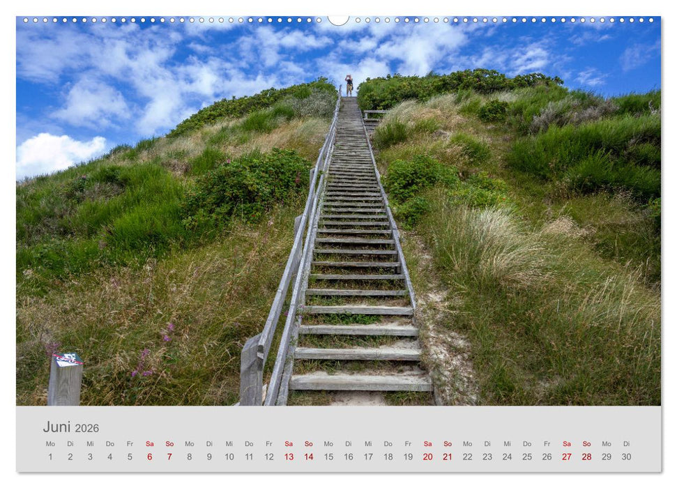 Dänemarks Nordseeküste - von Esbjerg bis Sondervig (CALVENDO Wandkalender 2026)