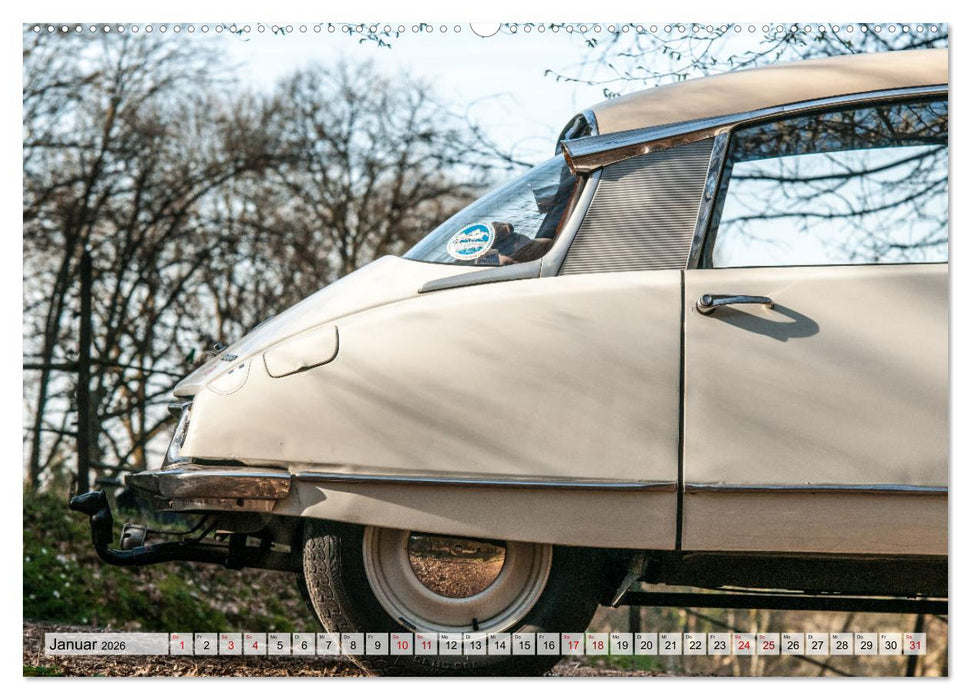 Citroën D Model – Märchenhafte Déesse (CALVENDO Wandkalender 2026)