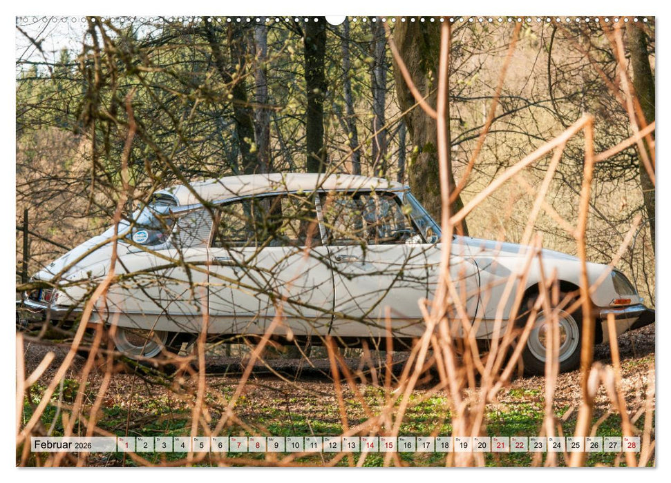 Citroën D Model – Märchenhafte Déesse (CALVENDO Wandkalender 2026)