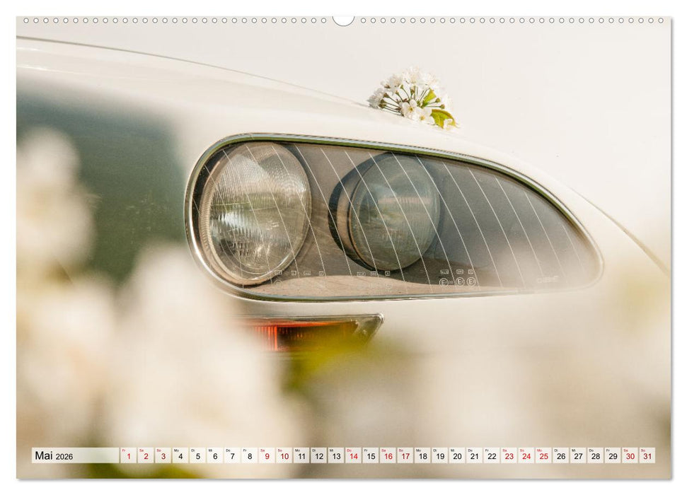 Citroën D Model – Märchenhafte Déesse (CALVENDO Wandkalender 2026)